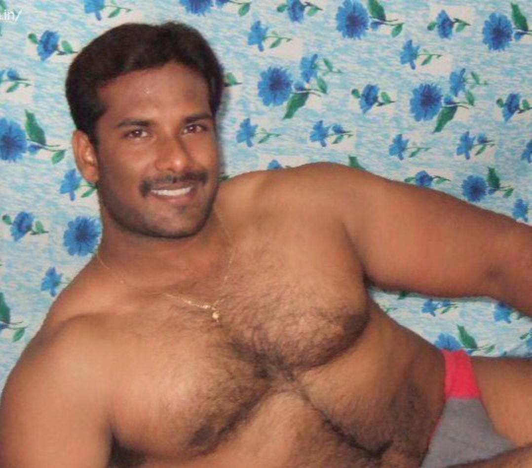 Adult muscled bear