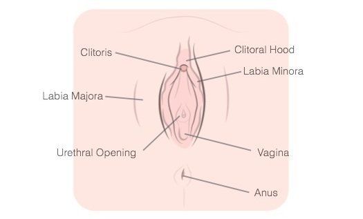 best of Clitoris advice Masturbation girls