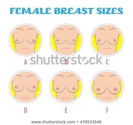 best of Size diagram Boob