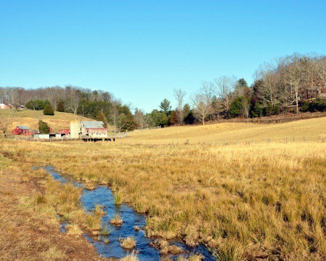 best of Field Lick creek