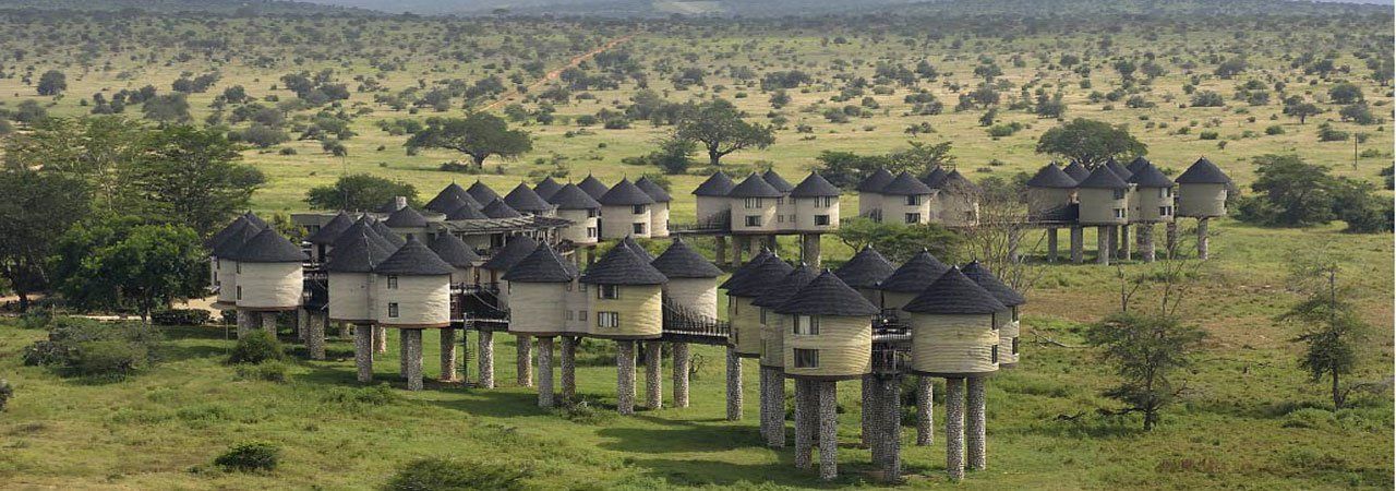 best of Safari Salt lick