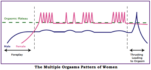 Female multiple orgasm