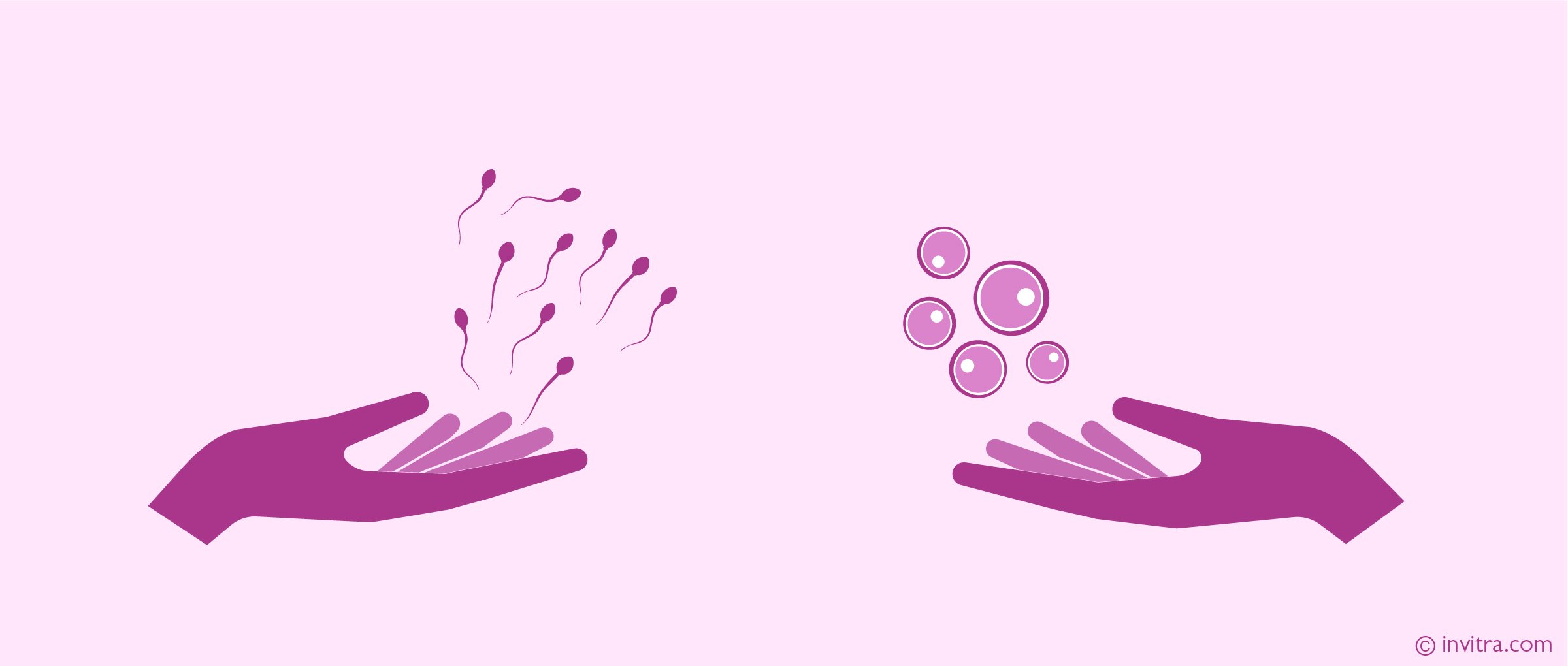 Nobel P. reccomend Egg and sperm donors