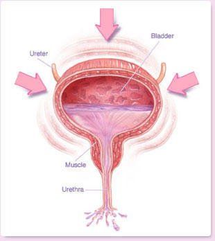 best of Orgasm Urine durring