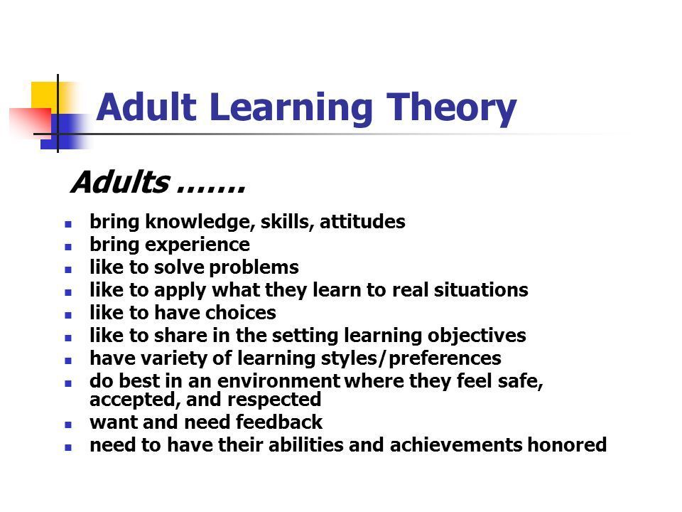 best of Learning Adult learning styles and theory