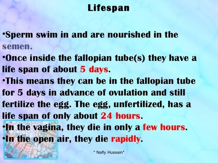 Sgt. C. reccomend Lifespan of sperm outside womb