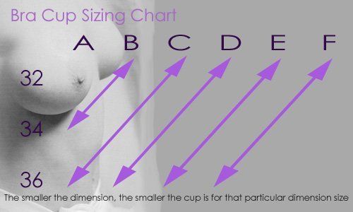 Vice reccomend Boob size diagram