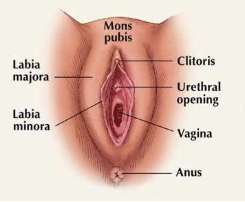 Athens reccomend Ablacion del clitoris