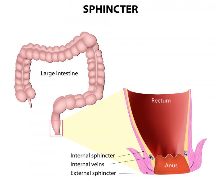 Shift reccomend My butt hurts afters snal sex