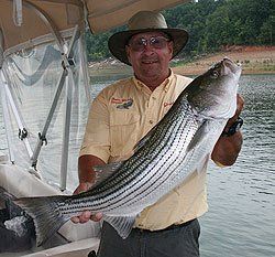 Lake cumberland stripper