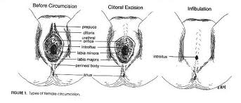 FB recomended Massive huge facial cumshot