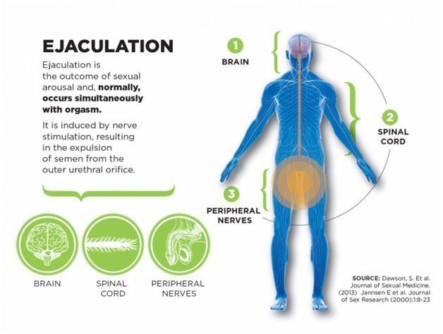 best of Orgasm Absent ejaculation