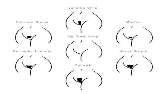 best of Pubes Shaved designs