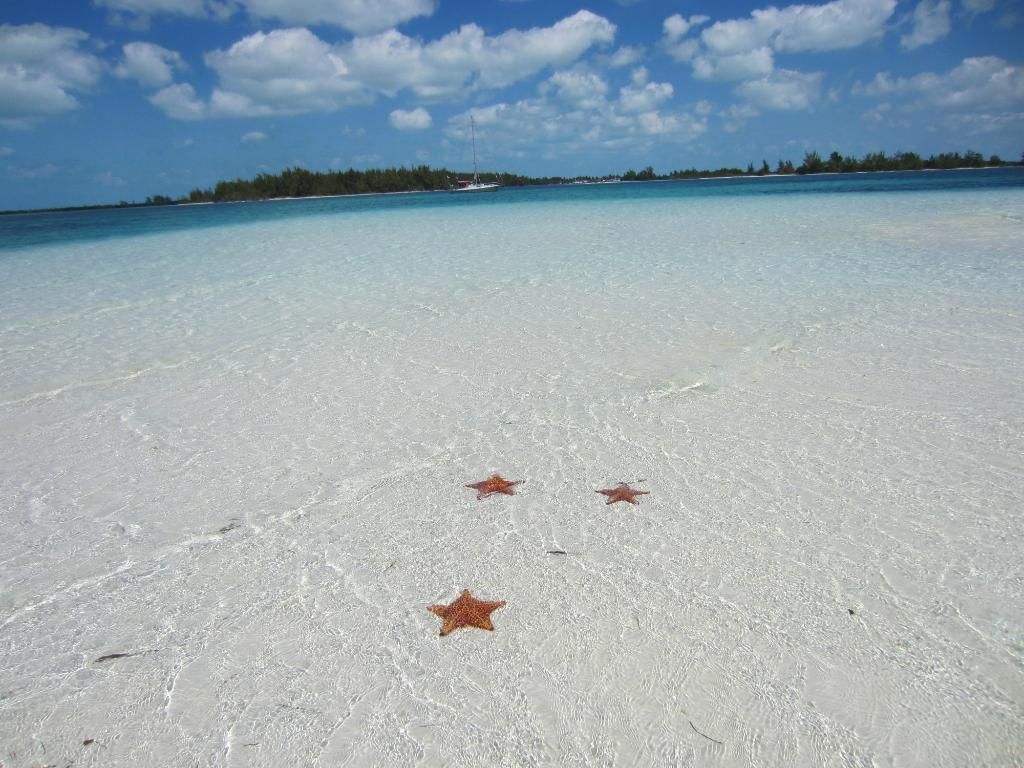 Avoid nude beaches cayo largo