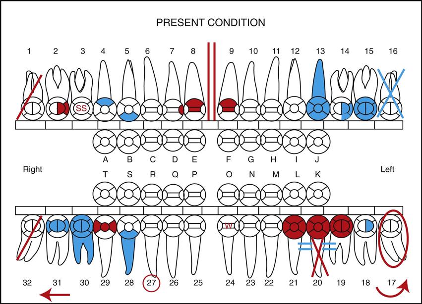 best of Reord soft tissue Oral facial exam