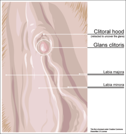 Removal of facial thread veins