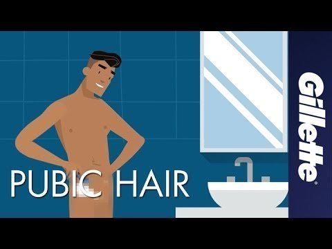 Snowdrop reccomend Clippers cock hair pubic shave smooth