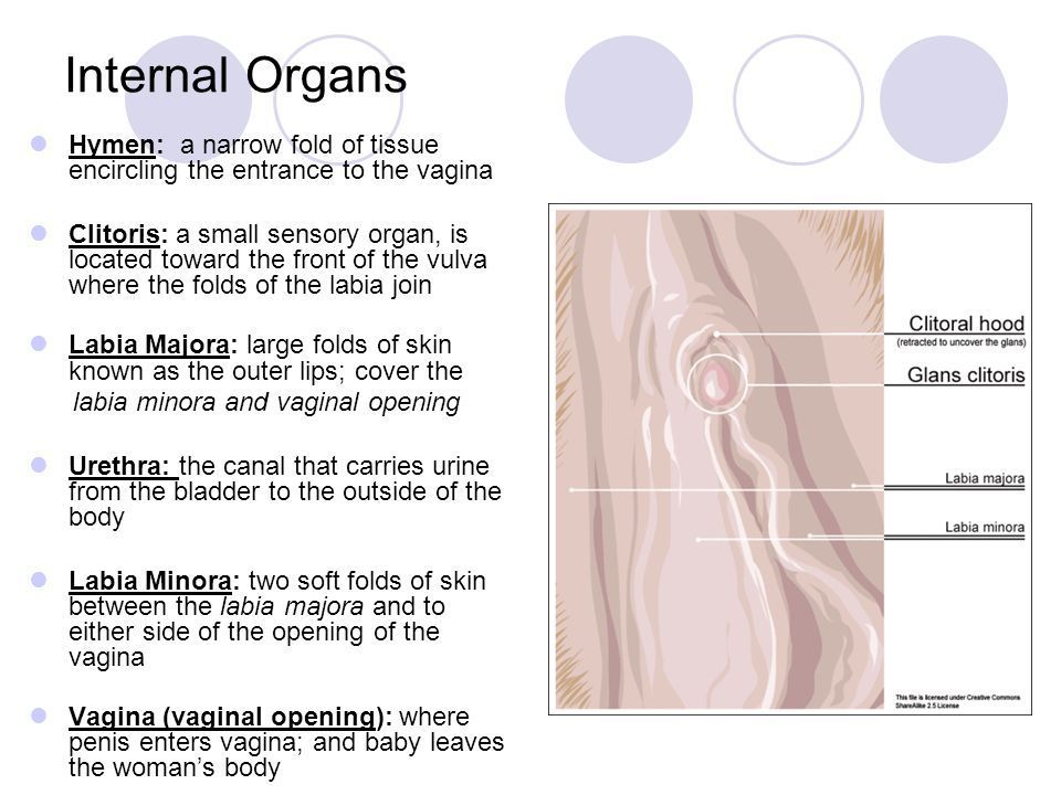 Abnormal clitoris glans