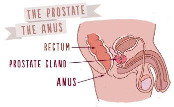 Look inside girls anus