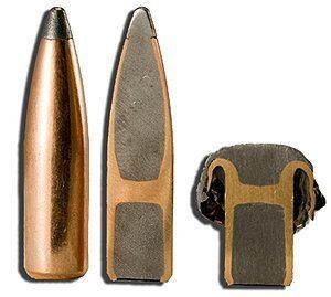 Nosler .243 ballistic tip penetration