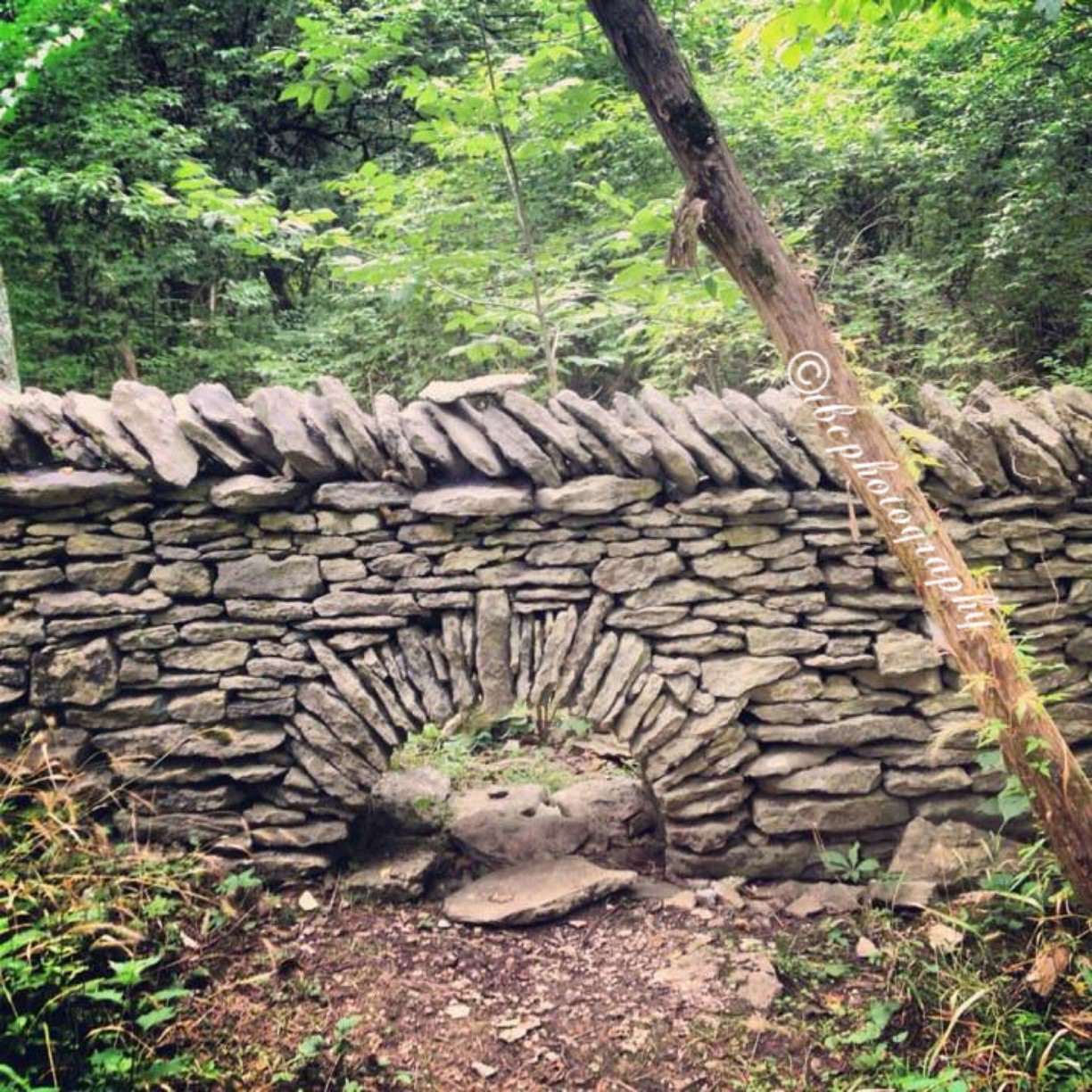 Tank reccomend Stone lick kentucky