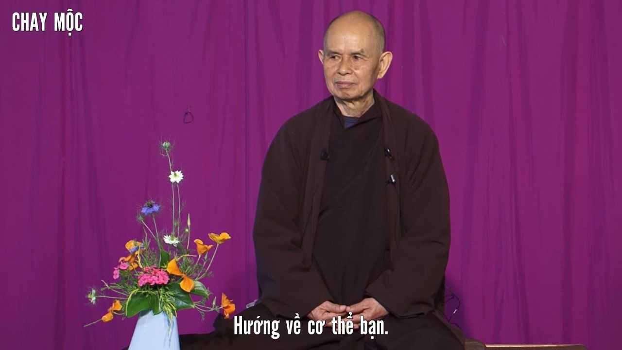 Thich nhat hanh gay