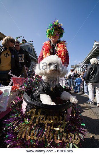 best of New Transvestite orleans in parade