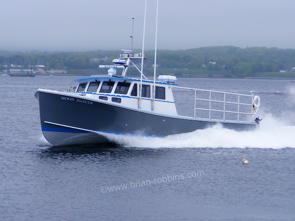 Lonely island boat captain